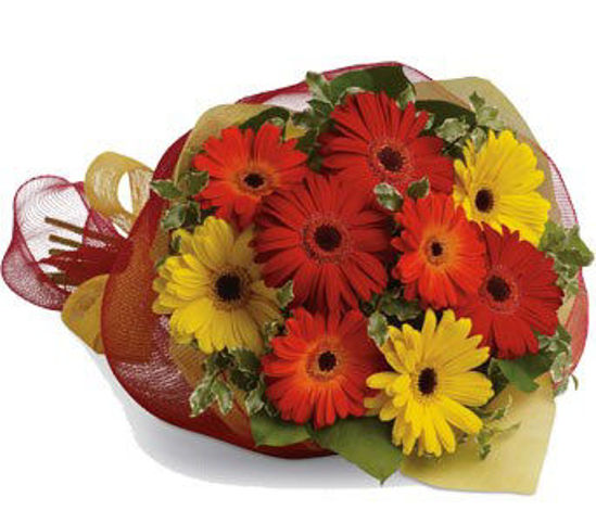 Picture of Gerbera Brights
