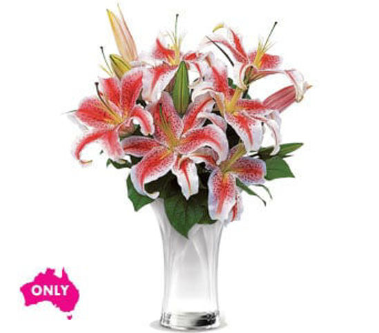 Picture of Celebrate Lilies