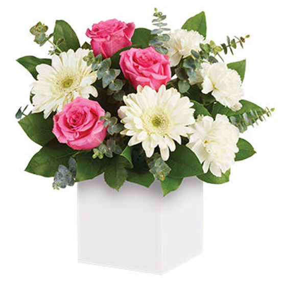Send Flower Arrangement Sweet Thoughts