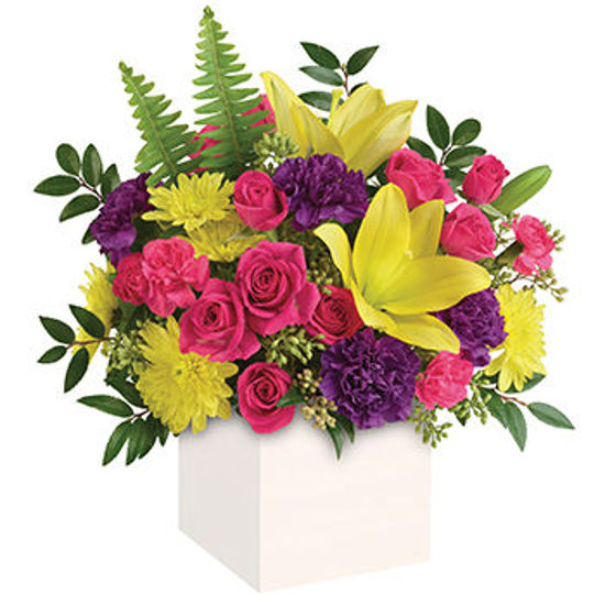 Send Flower Arrangement Vivid Delights