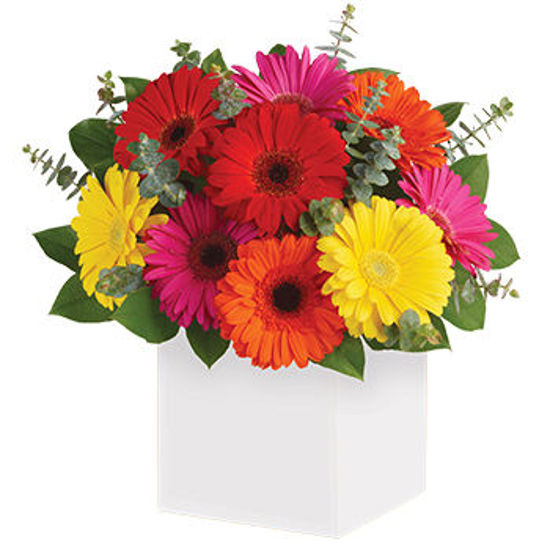 Send Flower Arrangement Glorious Gerberas