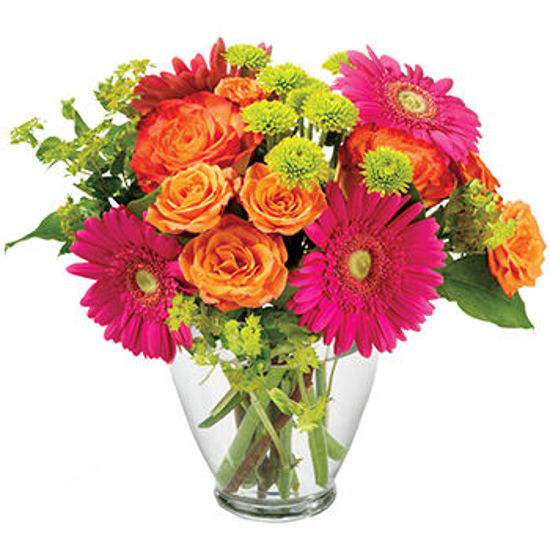 Send Flower Arrangement Rainbow Wishes