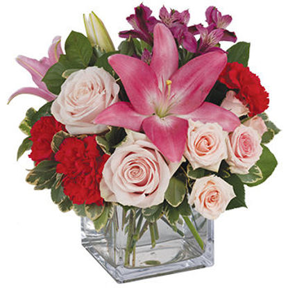 Send Flower Arrangement Elegant Mum