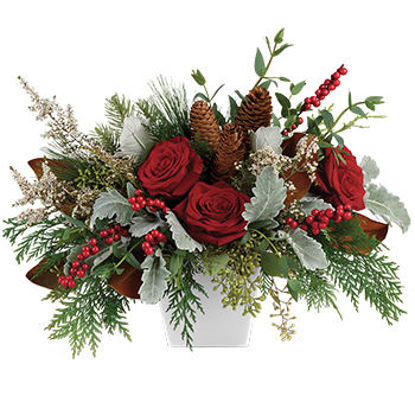 Picture of Christmas Blooms