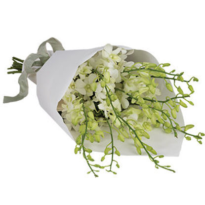 Send Flower Arrangement Orchid Surprise