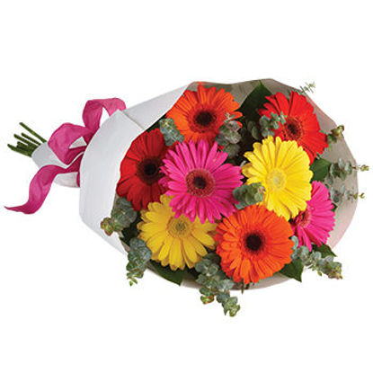Send Flower Arrangement Gerbera Brights