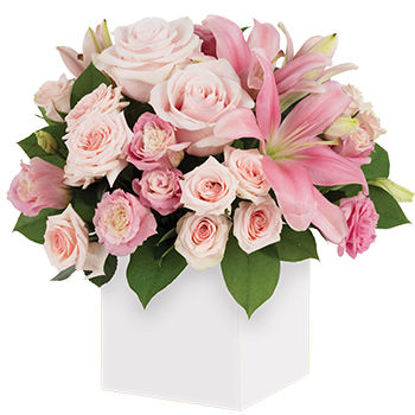 Send Flower Arrangement First Blush