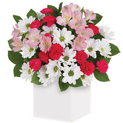 Send Flower Arrangement Polka Dot