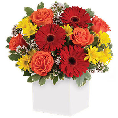 Send Flower Arrangement Garden Spectacle