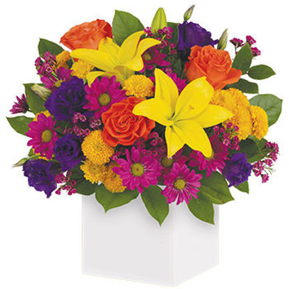 Send Flower Arrangement Rainbow Surprise