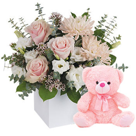Send Flower Arrangement It's a Girl with Teddy