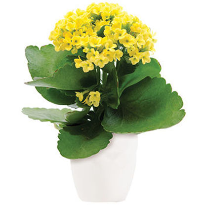Send Flower Arrangement Forever Yellow