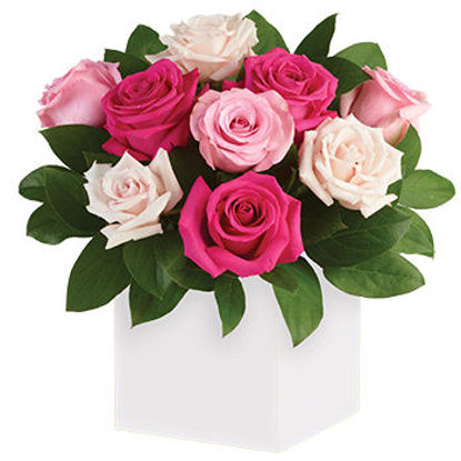 Send Flower Arrangement Blushing Roses