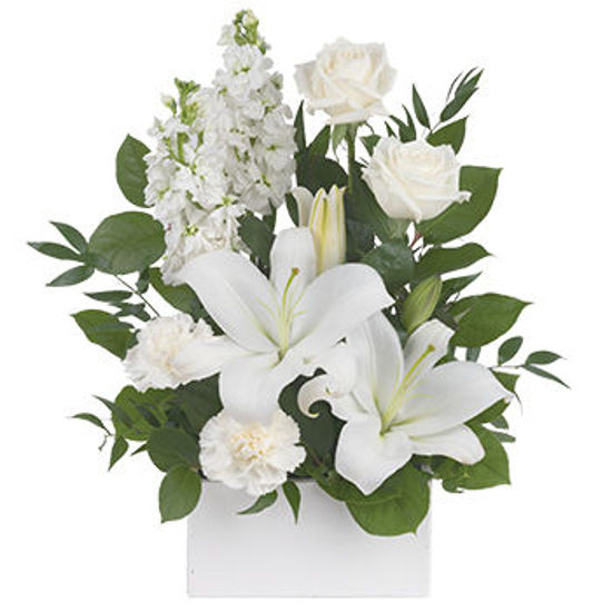 Send Flower Arrangement White Simplicity