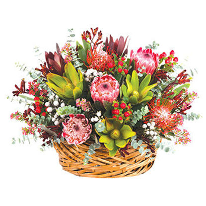 Send Flower Arrangement Dandaloo