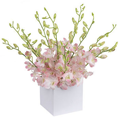 Send Flower Arrangement Allegra