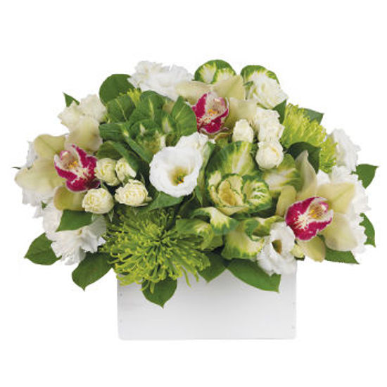 Send Flower Arrangement Kalena