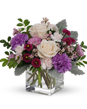 Send Flower Arrangement Serene Mum